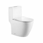 One Piece Water Closet