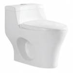 One Piece Water Closet