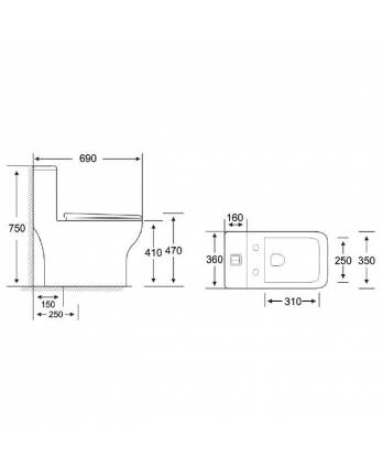 One Piece Water Closet
