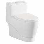 One Piece Water Closet